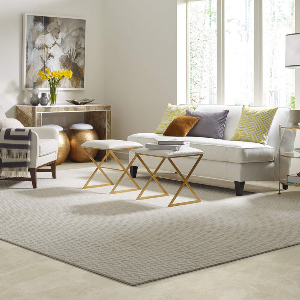 Area Rug | Lake Forest Flooring