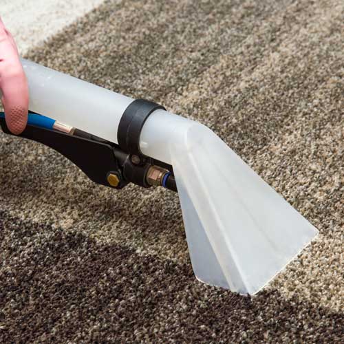 Carpet Cleaning | Lake Forest Flooring